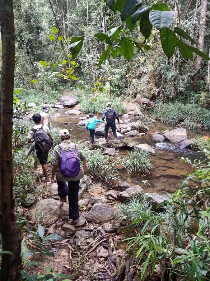 Bee Bee'S Chalets Home Stay And Trekking Banlung Luaran gambar