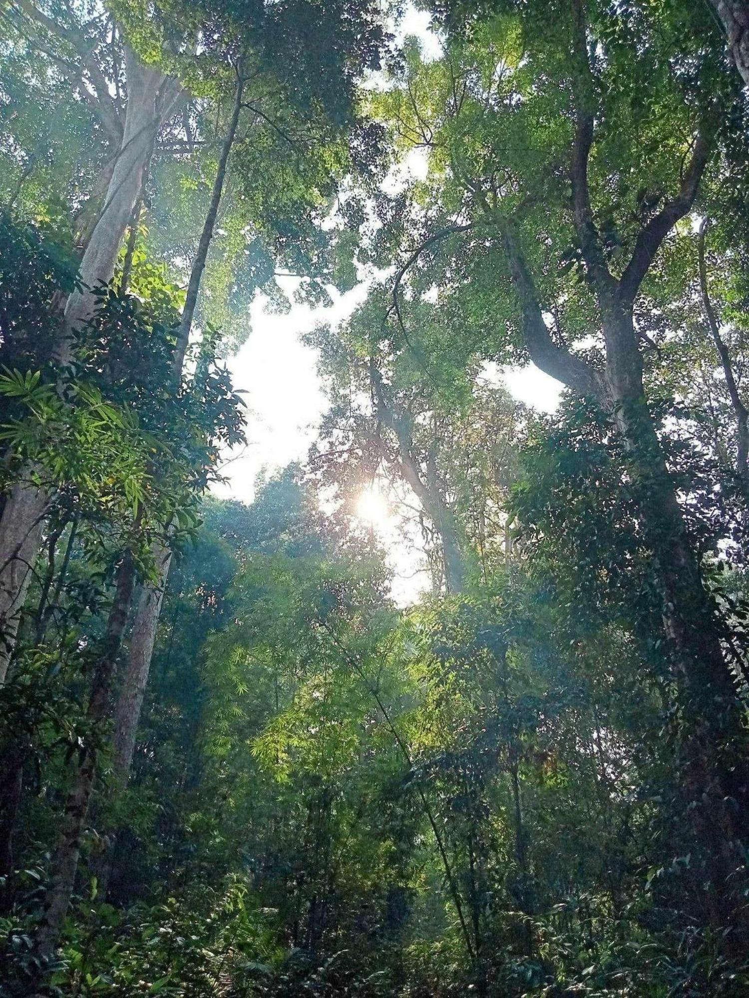 Bee Bee'S Chalets Home Stay And Trekking Banlung Luaran gambar
