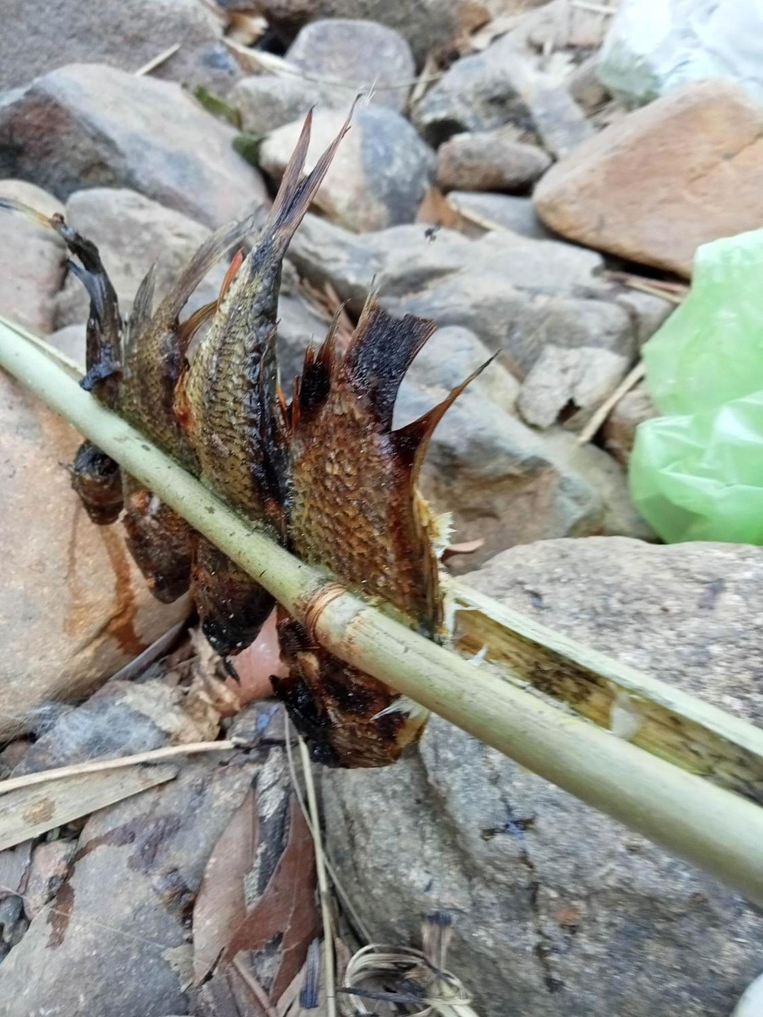 Bee Bee'S Chalets Home Stay And Trekking Banlung Luaran gambar