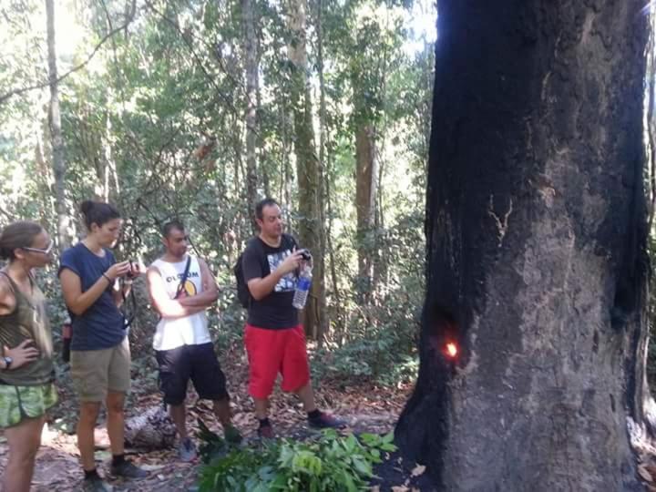 Bee Bee'S Chalets Home Stay And Trekking Banlung Luaran gambar